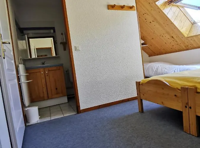 Duplex Les 2 Alpes Avec Acces Direct Aux Pistes