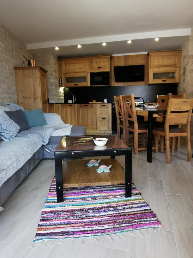 Apartment Duplex Les 2 Alpes Avec Acces Direct Aux Pistes Les Deux Alpes
