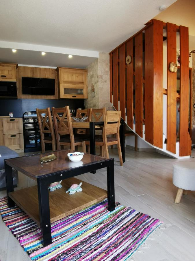 Duplex Les 2 Alpes Avec Acces Direct Aux Pistes