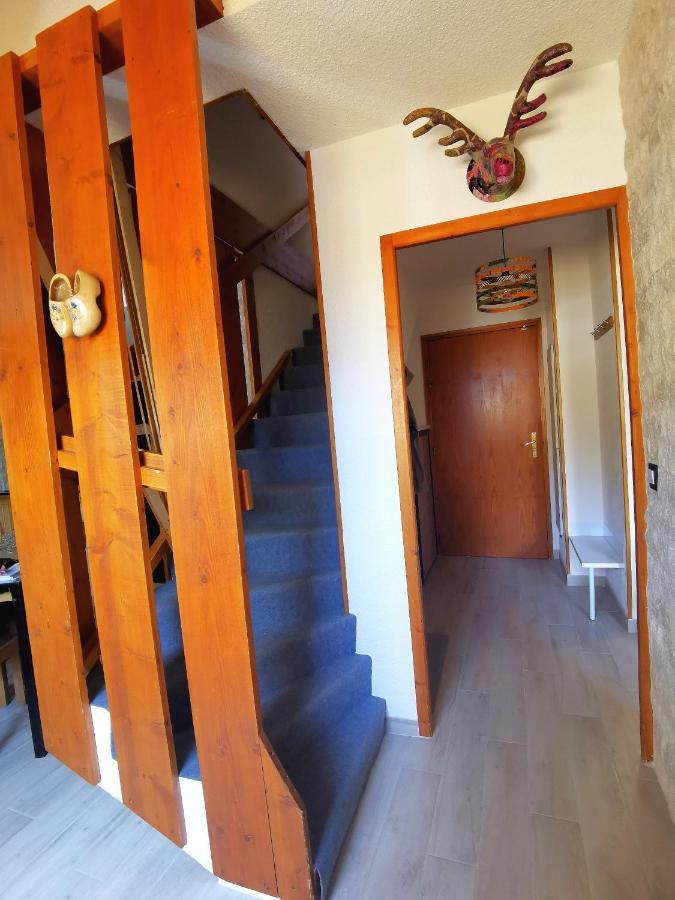 Duplex Les 2 Alpes Avec Acces Direct Aux Pistes Les Deux Alpes